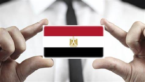 الشركات الناشئة في مصر