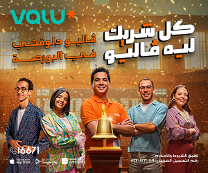 فليو 300