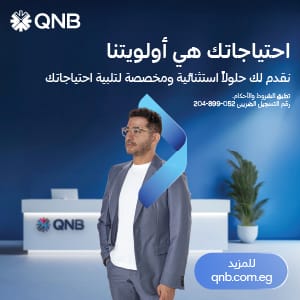 QNB 300