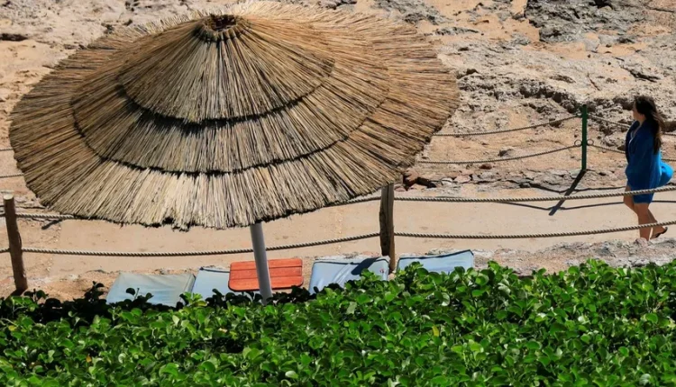 مصر