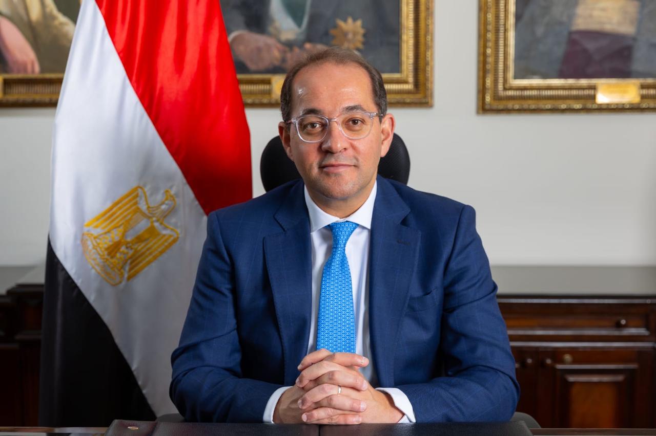 الحكومة المصرية