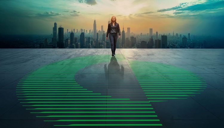 بالو ألتو نتوركس