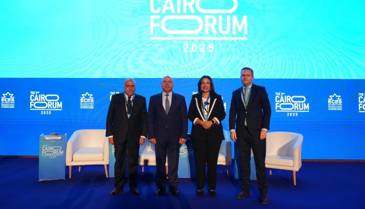 الحكومة المصرية