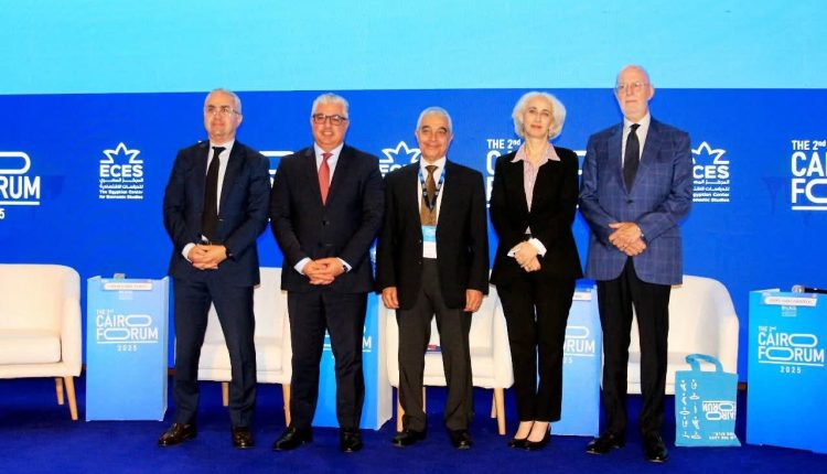 وزارة الاستثمار المصرية