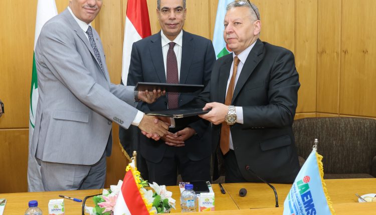 البريد المصري