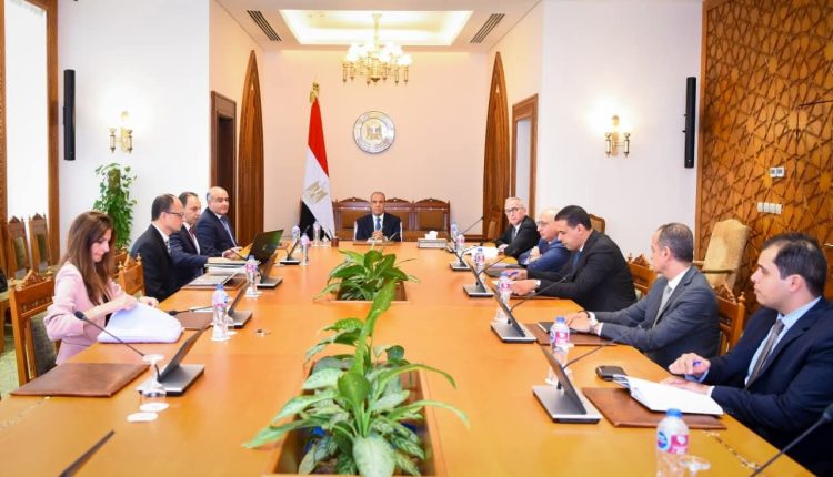 وزير الخارجية المصري