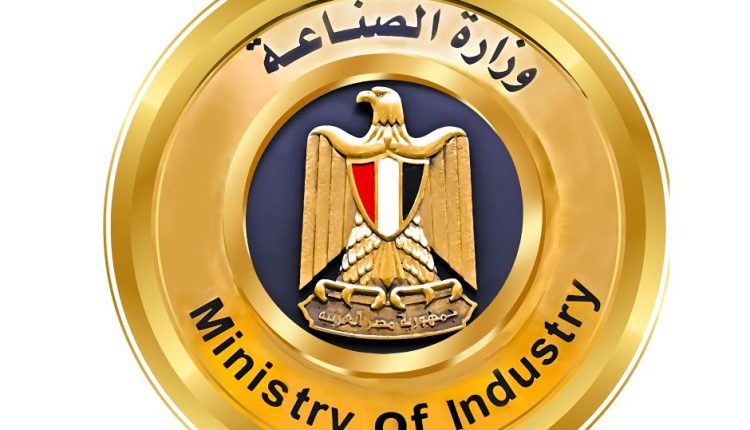 الحكومة المصرية