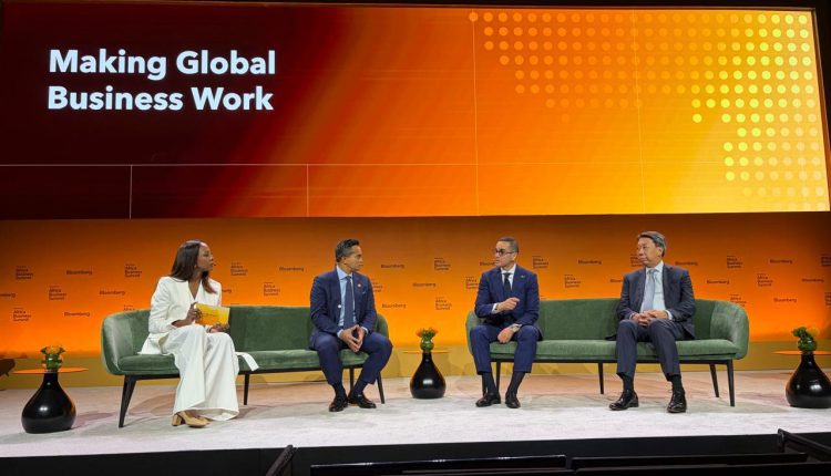 وزير الاستثمار