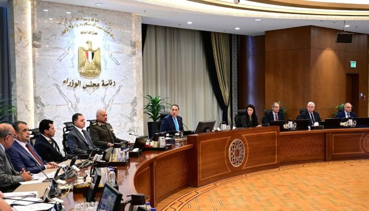 الحكومة المصرية