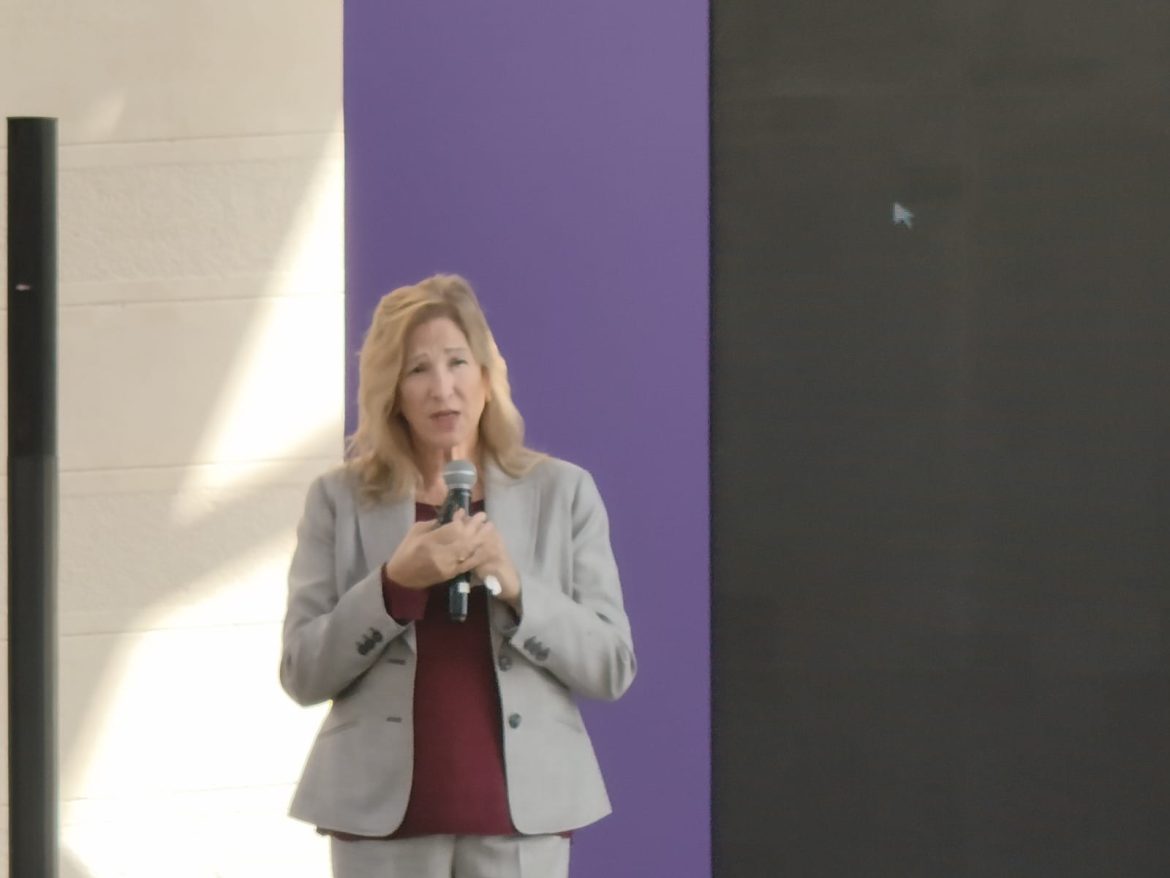 مستشارة وزير الاتصالات