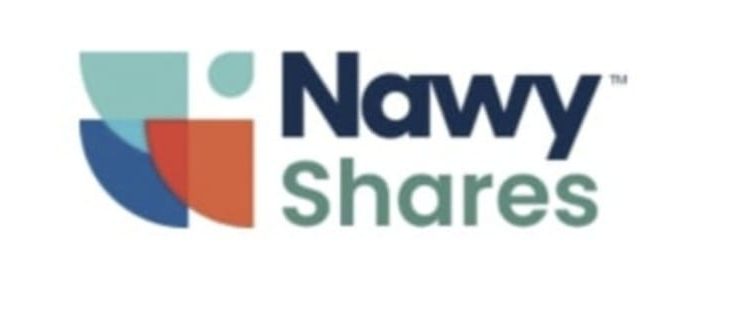 الرقابة المالية