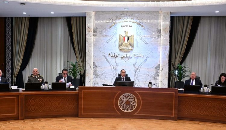 الحكومة المصرية