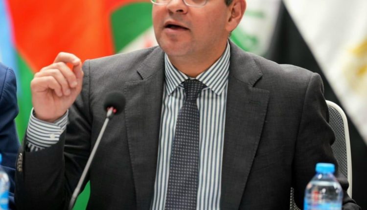 وزير المالية المصري