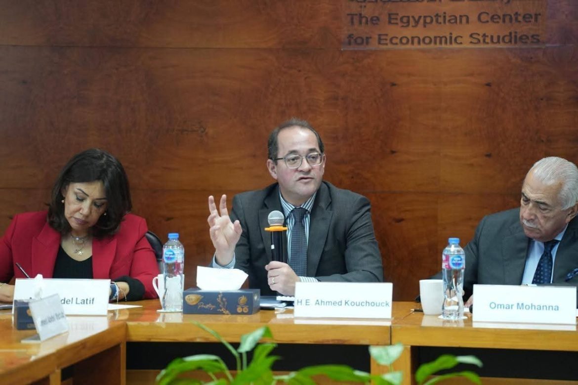 وزير المالية المصري