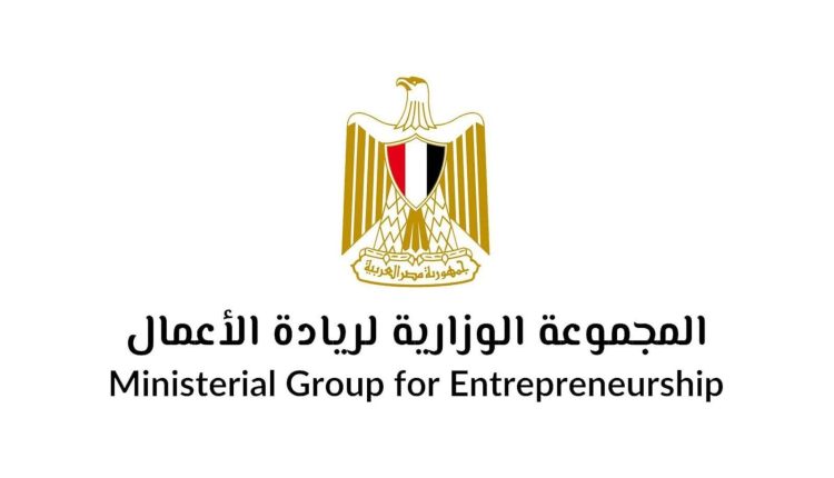 الحكومة المصرية