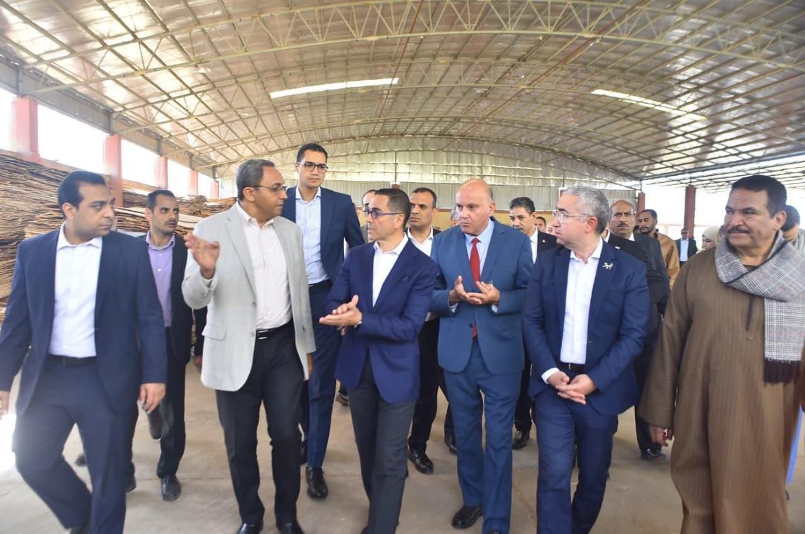 وزير الاستثمار