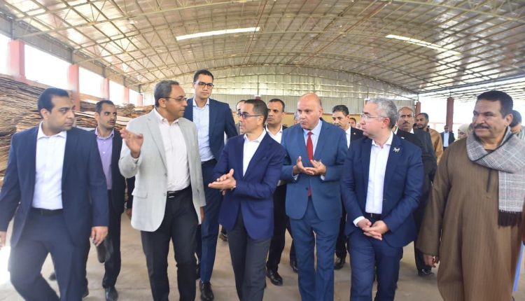 وزير الاستثمار