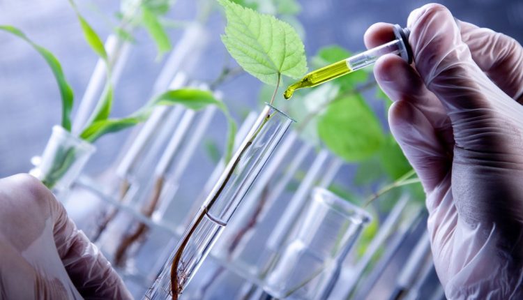 ثلاث صناديق استثمارية