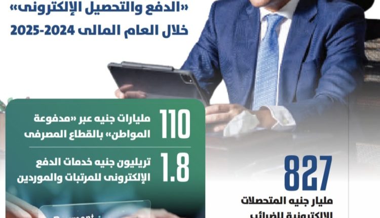 وزير المالية المصري