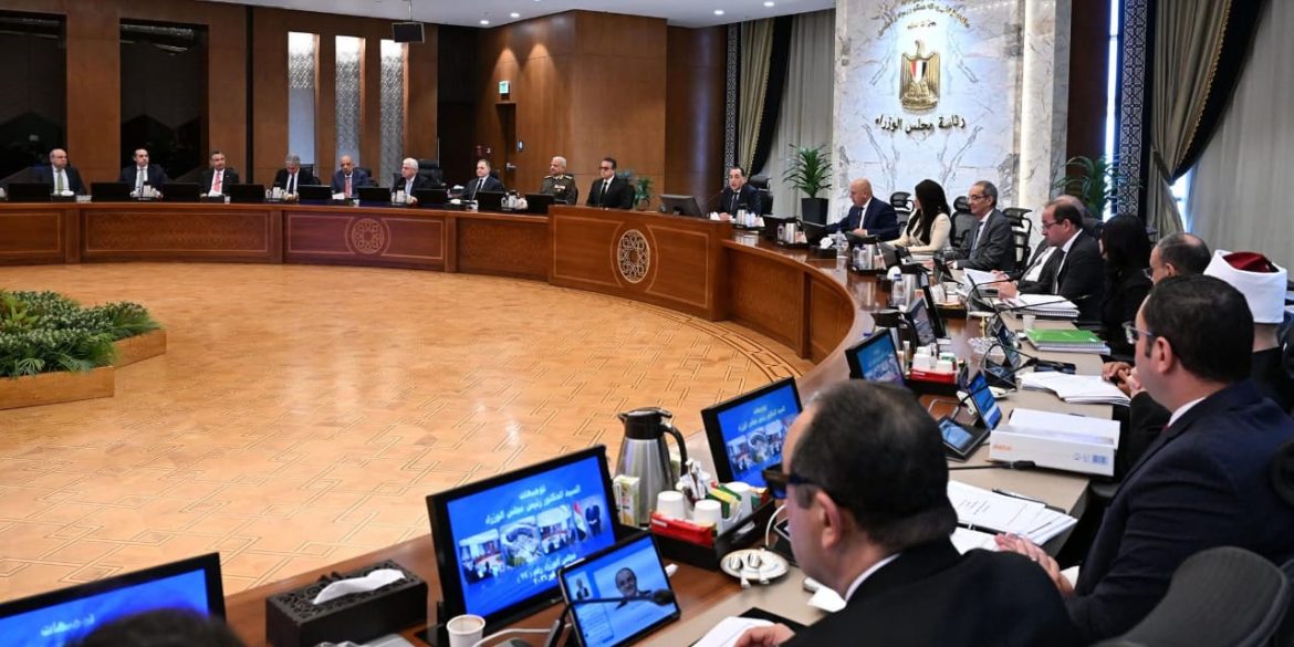 الحكومة المصرية