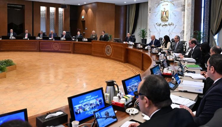 الحكومة المصرية