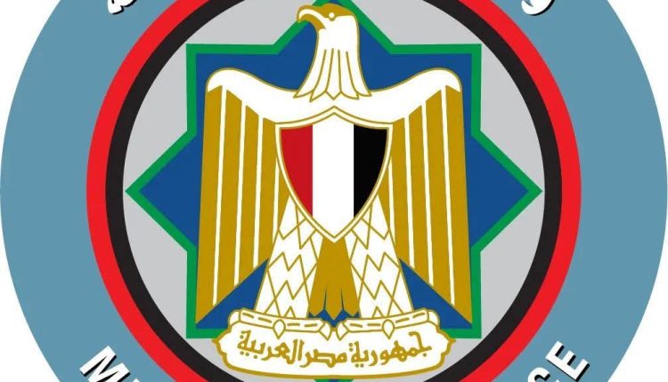 المالية المصرية