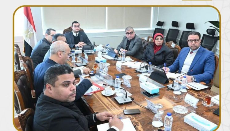 الحكومة المصرية