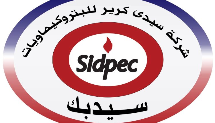 البورصة المصرية