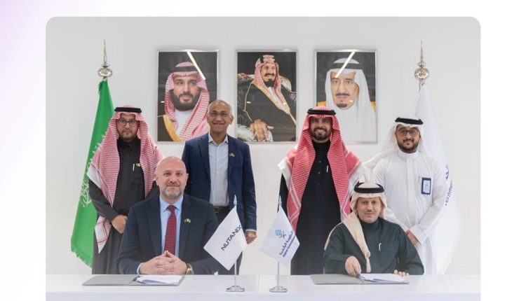 الحكومة الرقمية