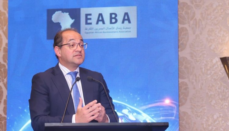 وزير المالية المصري