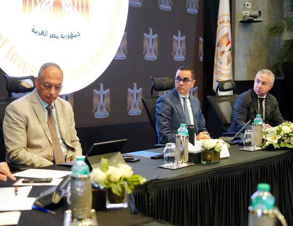 الحكومة المصرية