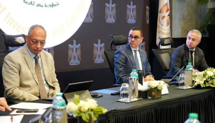 الحكومة المصرية