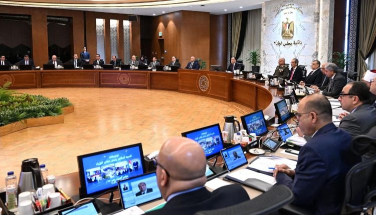 الحكومة المصرية