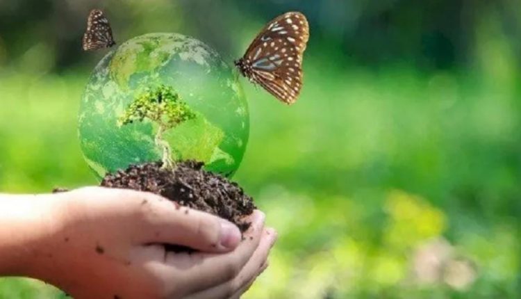 صندوق سوبر أورجانزم