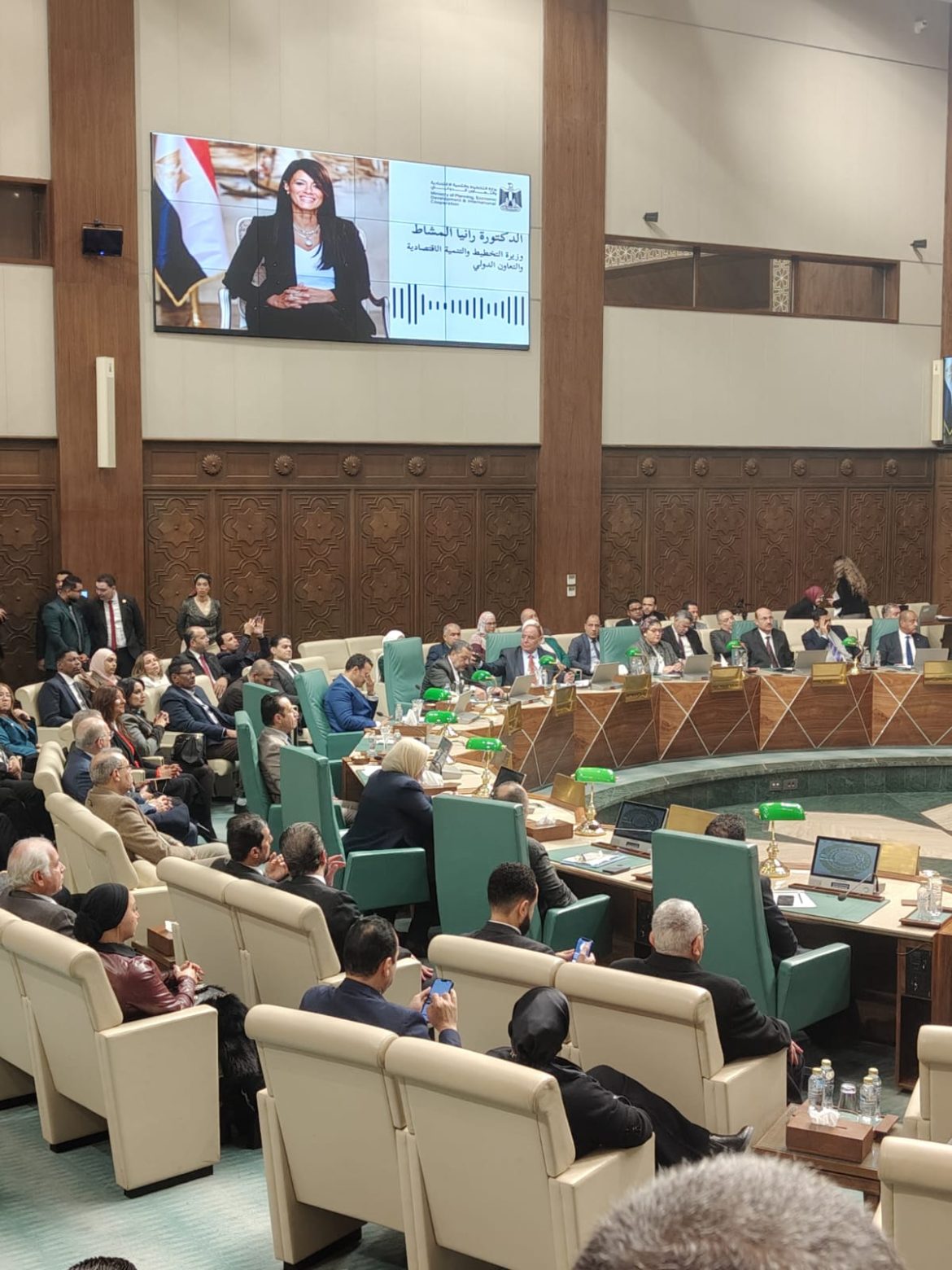 د. رانيا المشاط