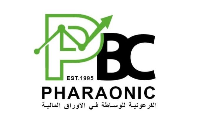 الرقابة المالية المصرية