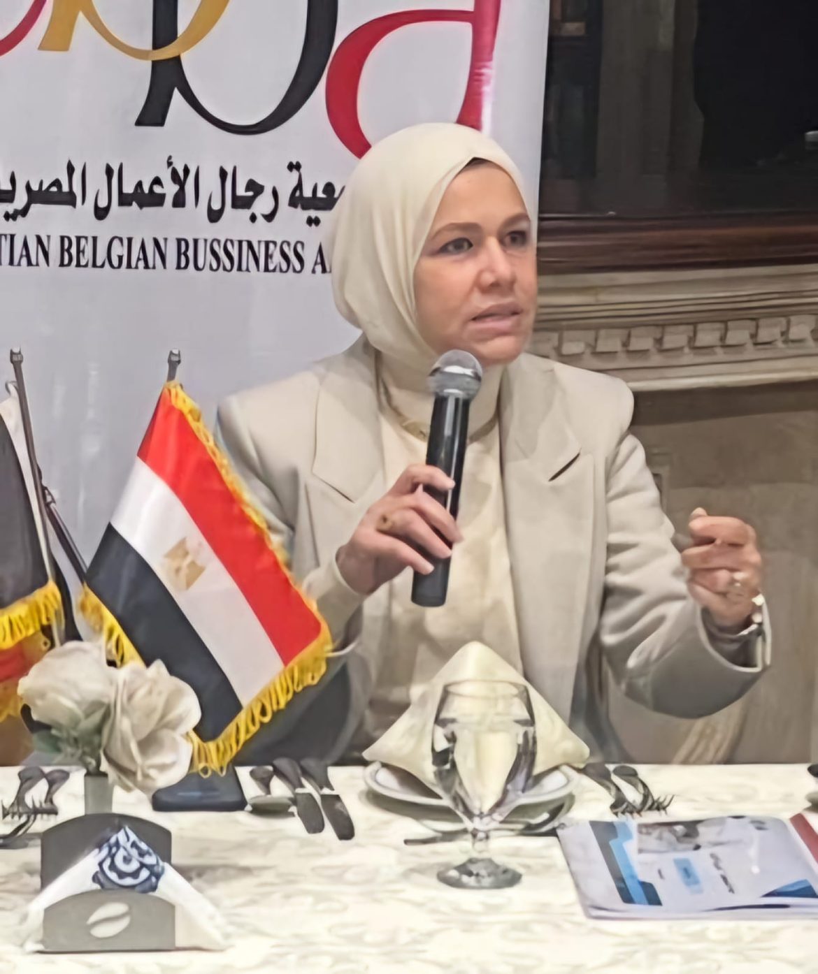 الضرائب المصرية