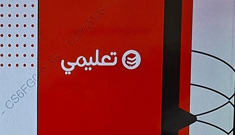 مؤسسة فودافون مصر