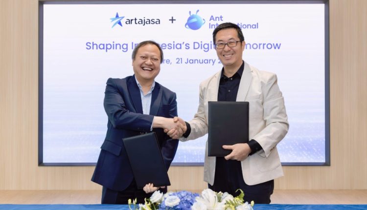 آنت إنترناشيونال