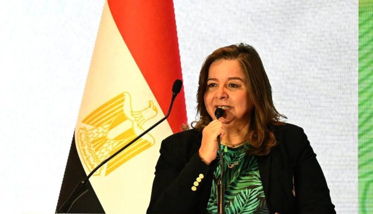 الحكومة المصرية