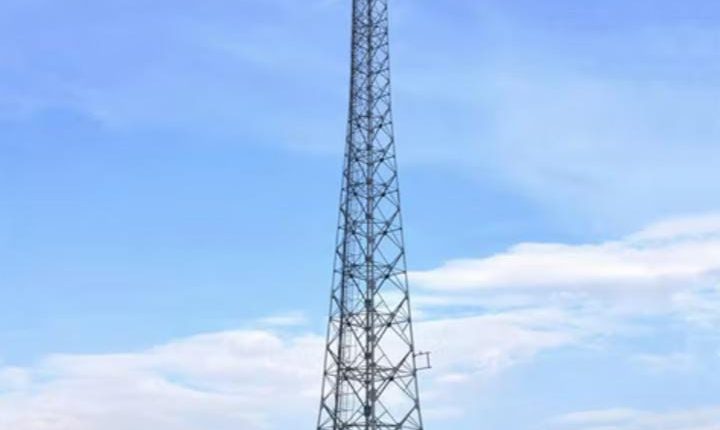 الحكومة المصرية