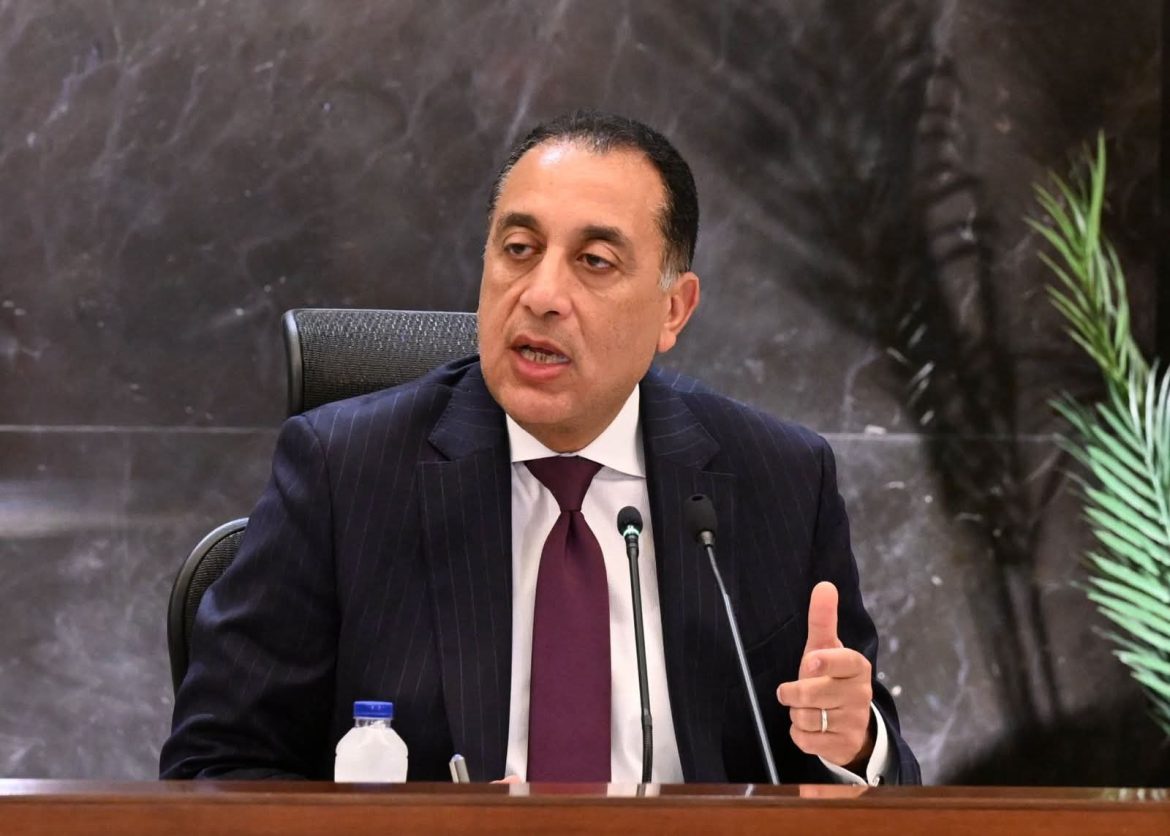 الحكومة المصرية