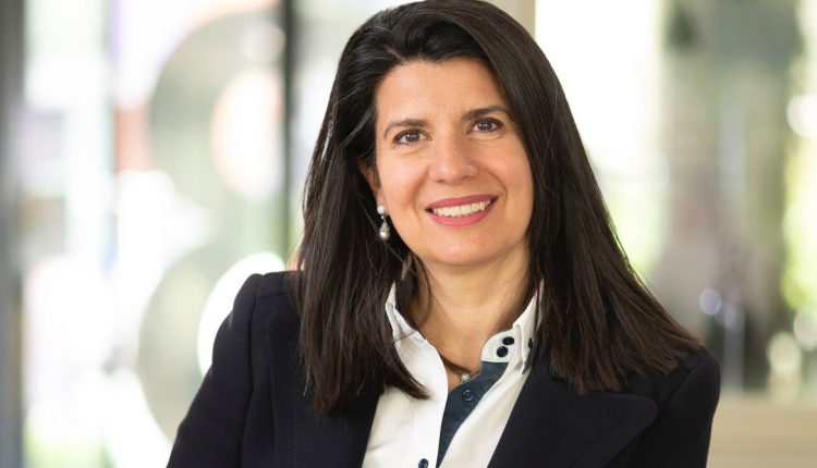 نتورك إنترناشيونال