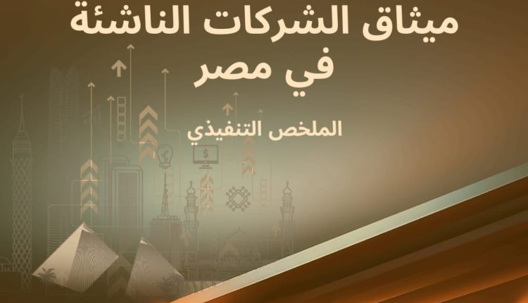 الحكومة المصرية