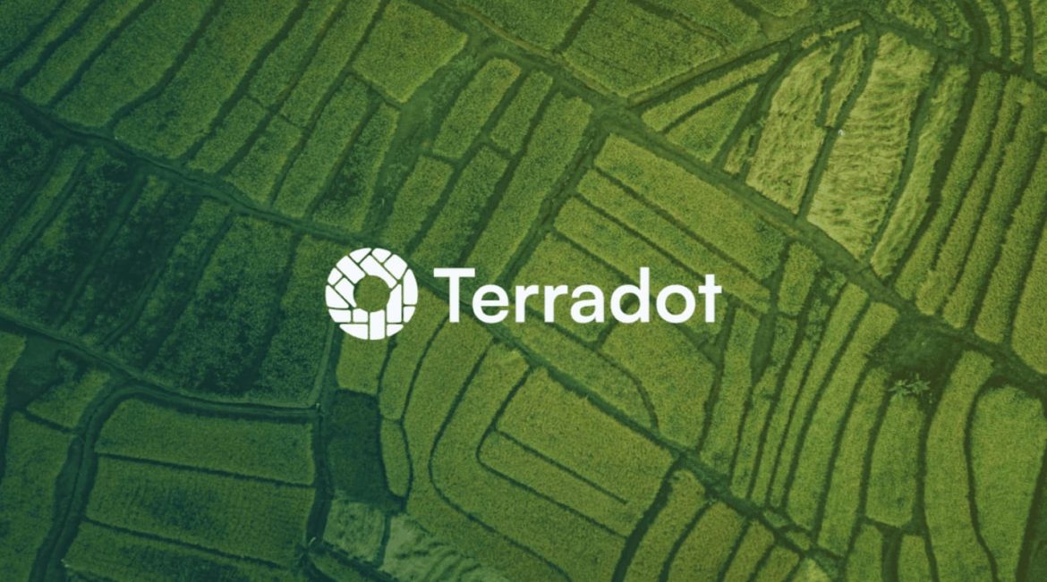 شركة Terradot