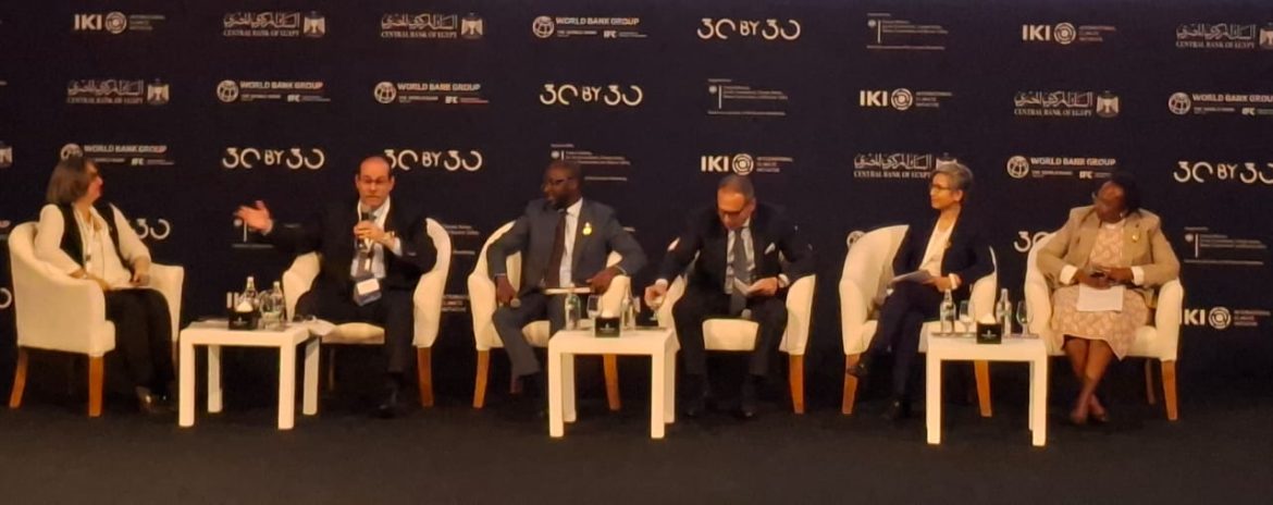 رئيس اتحاد بنوك مصر