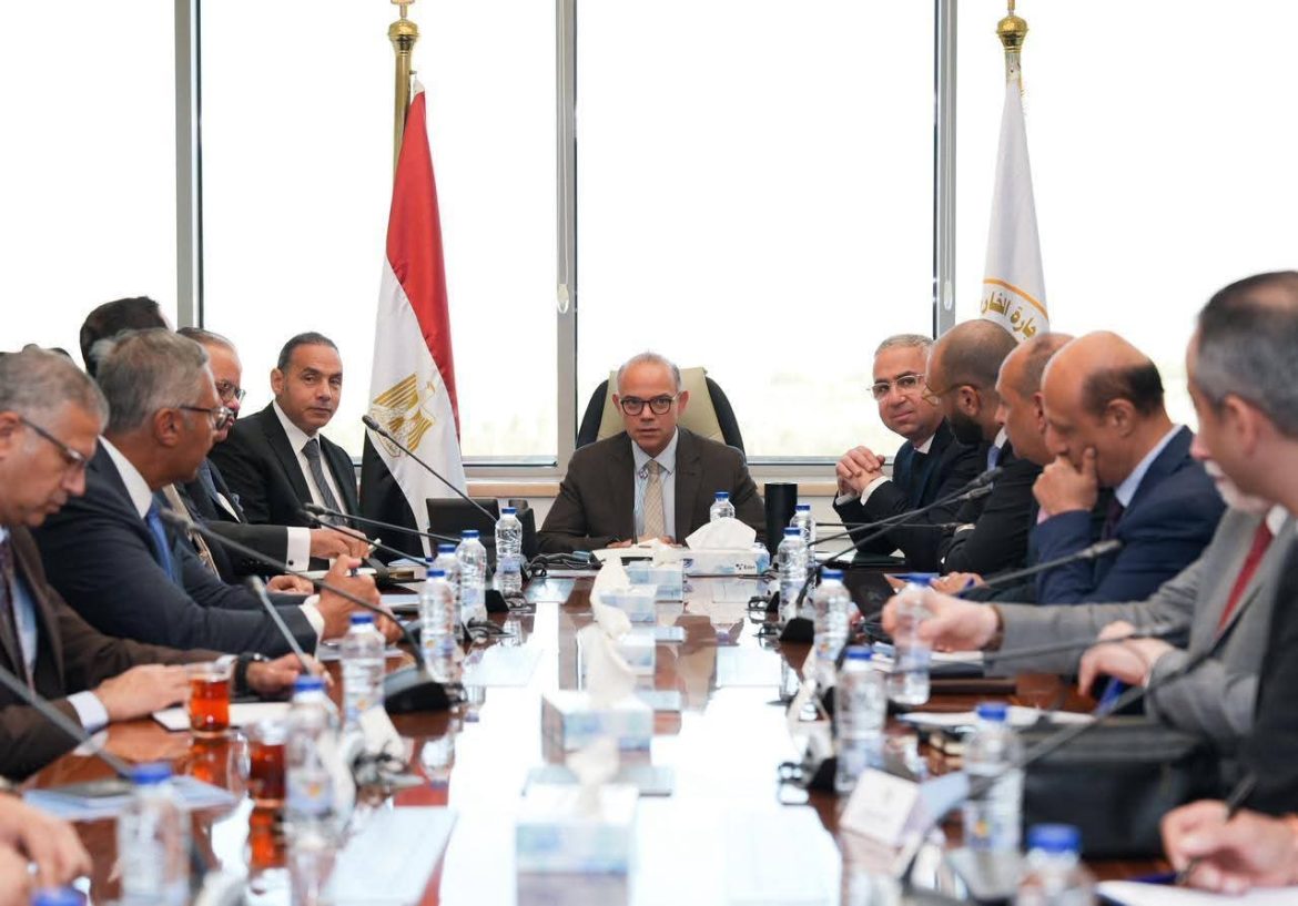 الحكومة المصرية