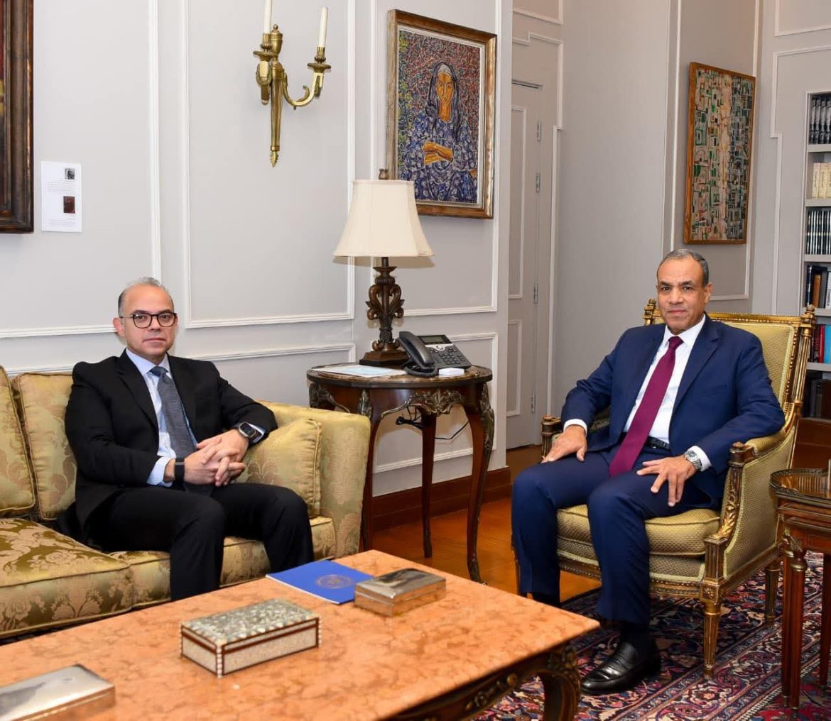 الحكومة المصرية