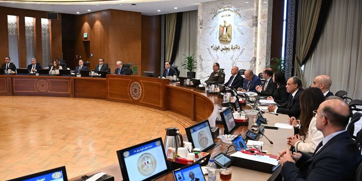 الحكومة المصرية