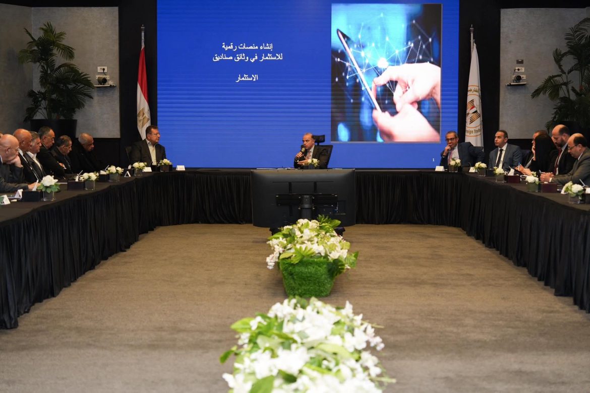 الحكومة المصرية